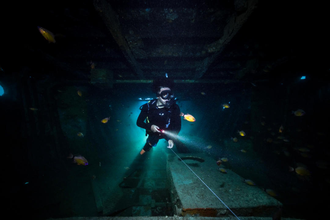 Dive+ Guide Selection