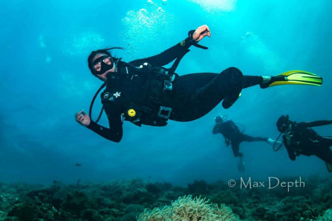 Dive+领路人的帖子