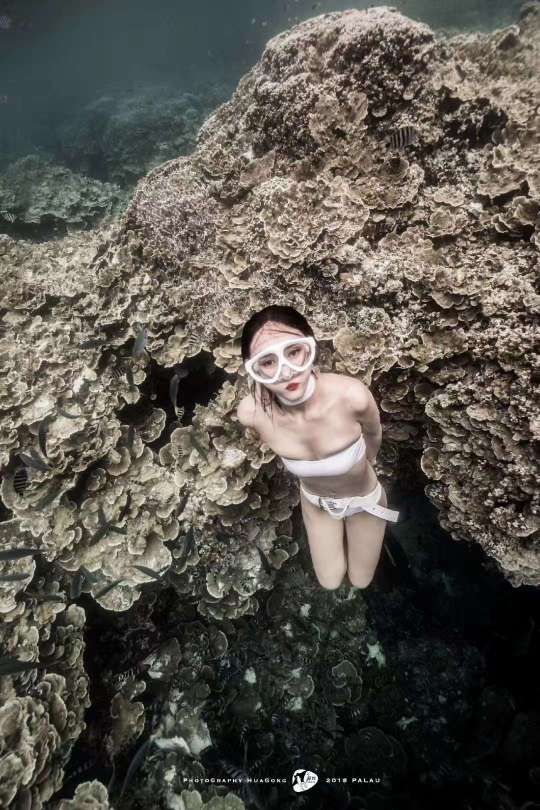 Dive+社區(qū)熱門帖子