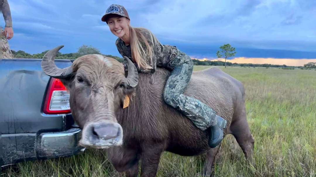 Dive+ Post Selection