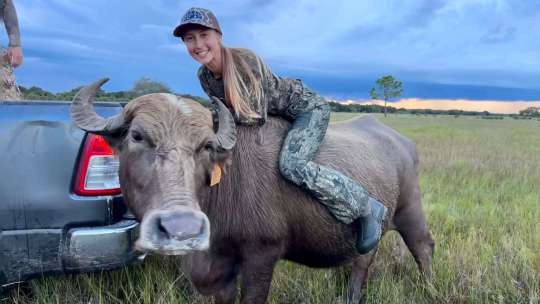 Dive+社區(qū)熱門(mén)帖子