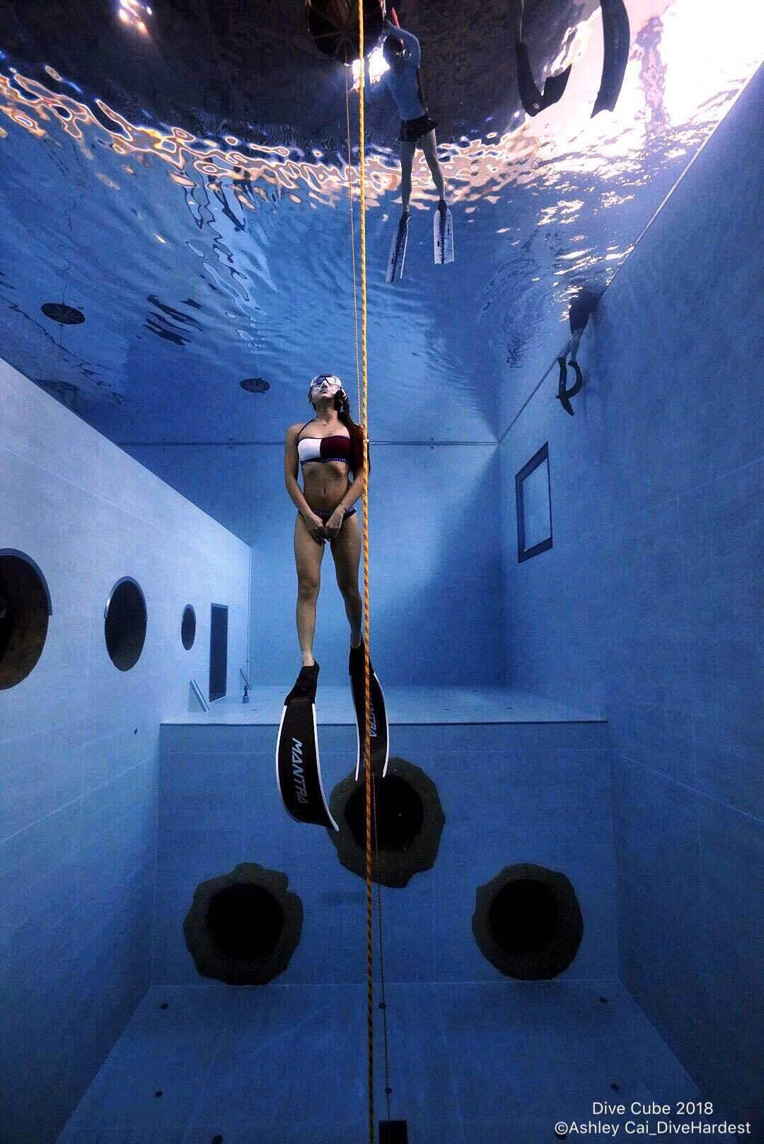 Dive+ Dive Center Selection