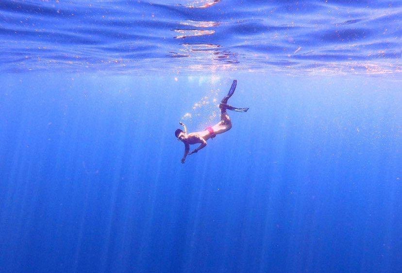 Dive+领路人的帖子