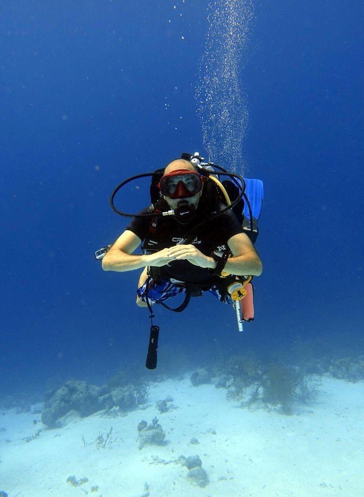 Dive+领路人的帖子