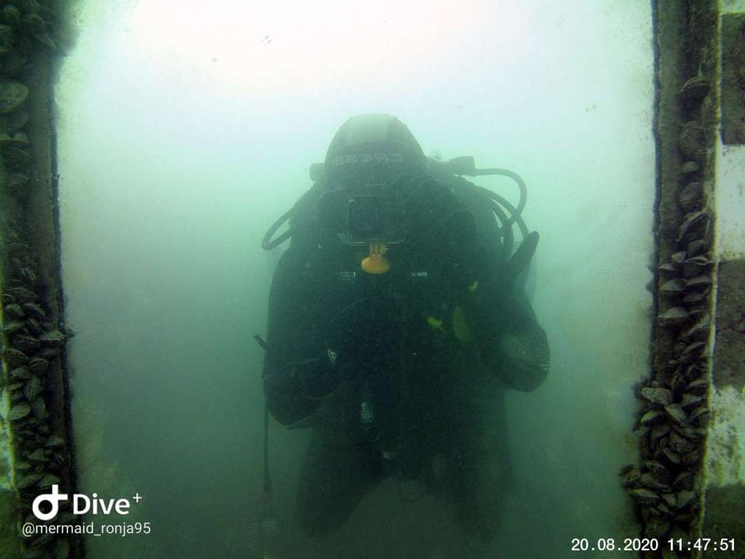 Dive+领路人的帖子