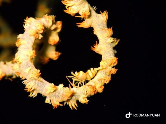 Dive+社區(qū)熱門帖子