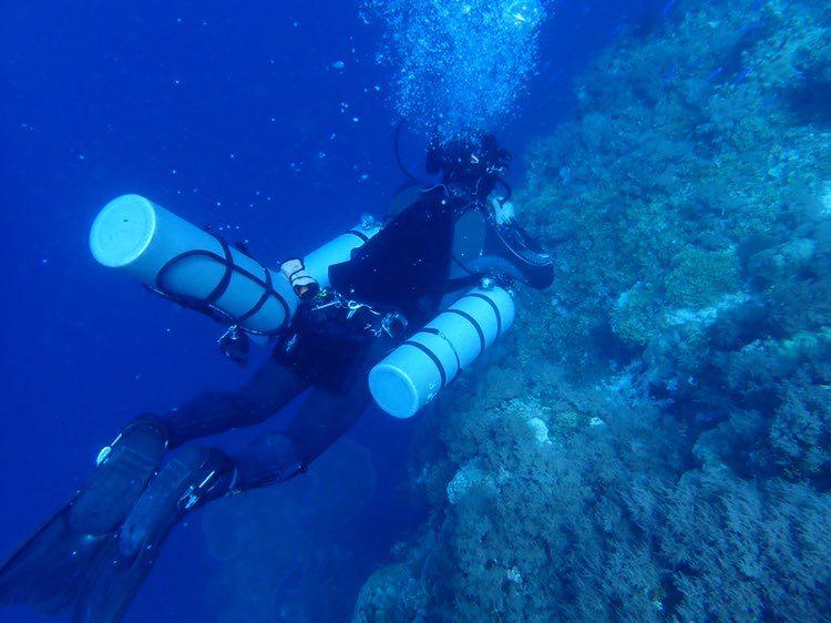Dive+领路人的帖子