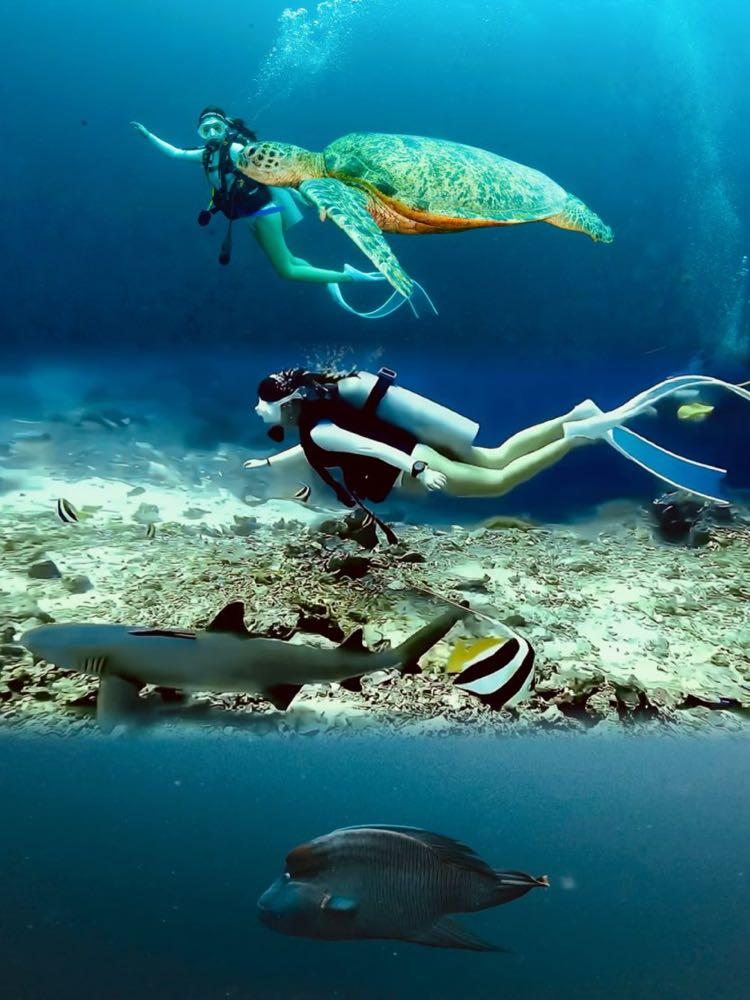 Dive+ Post Selection