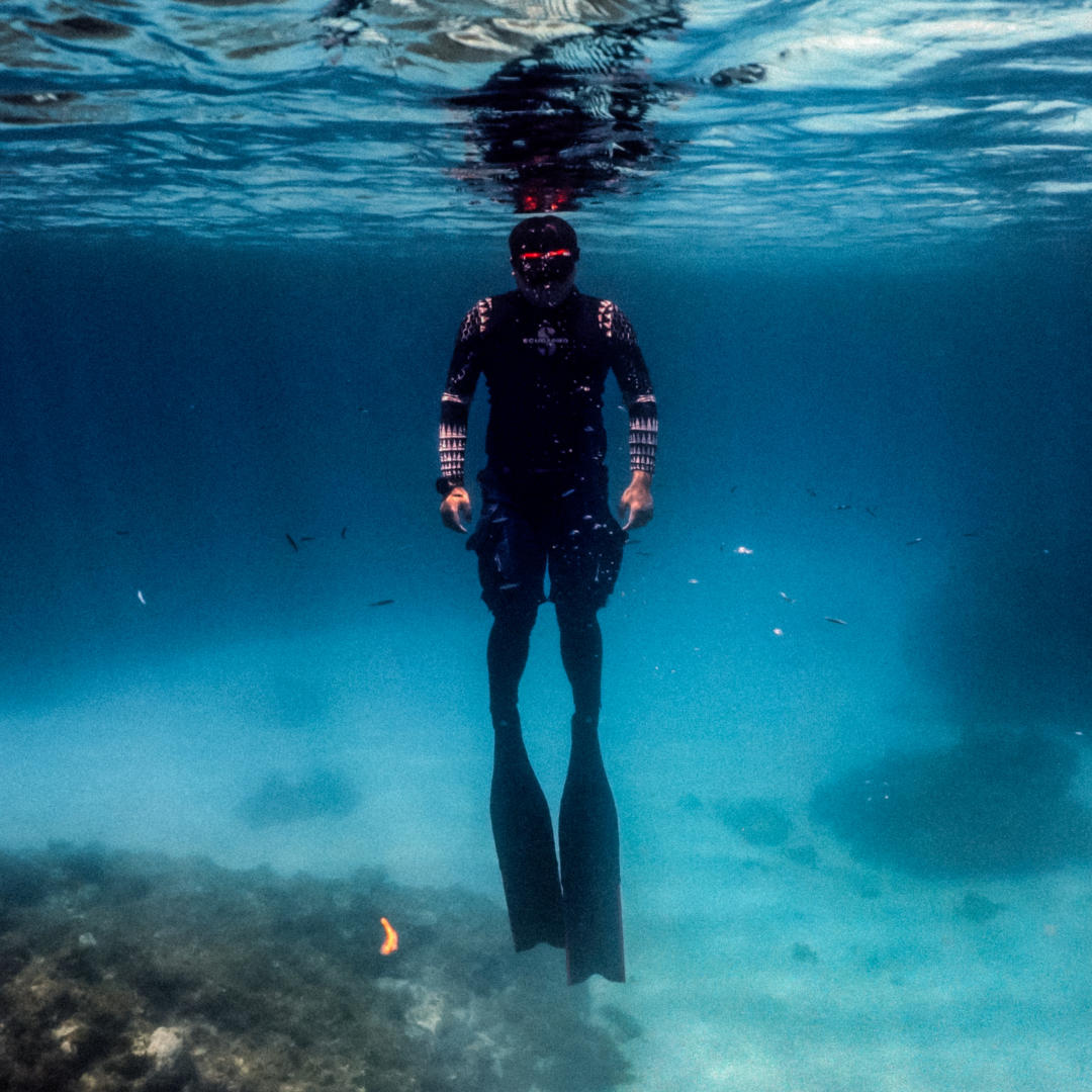 Dive+ Guide Selection