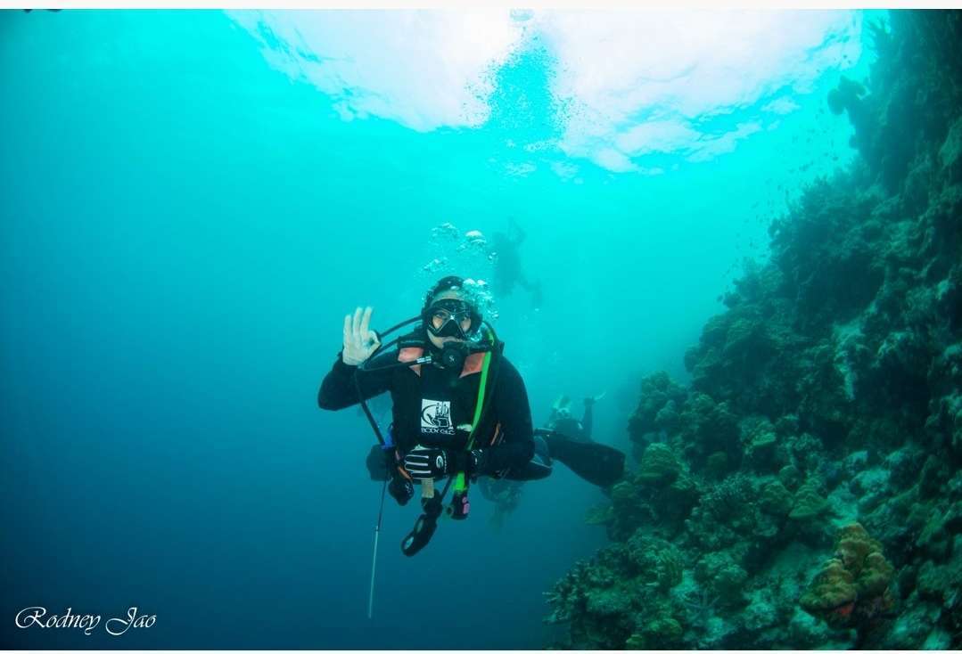Dive+领路人的帖子