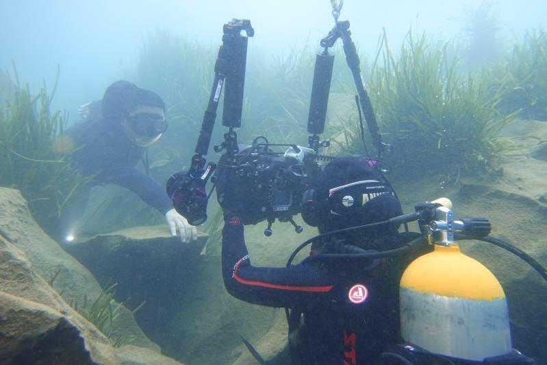 Dive+領路人的帖子