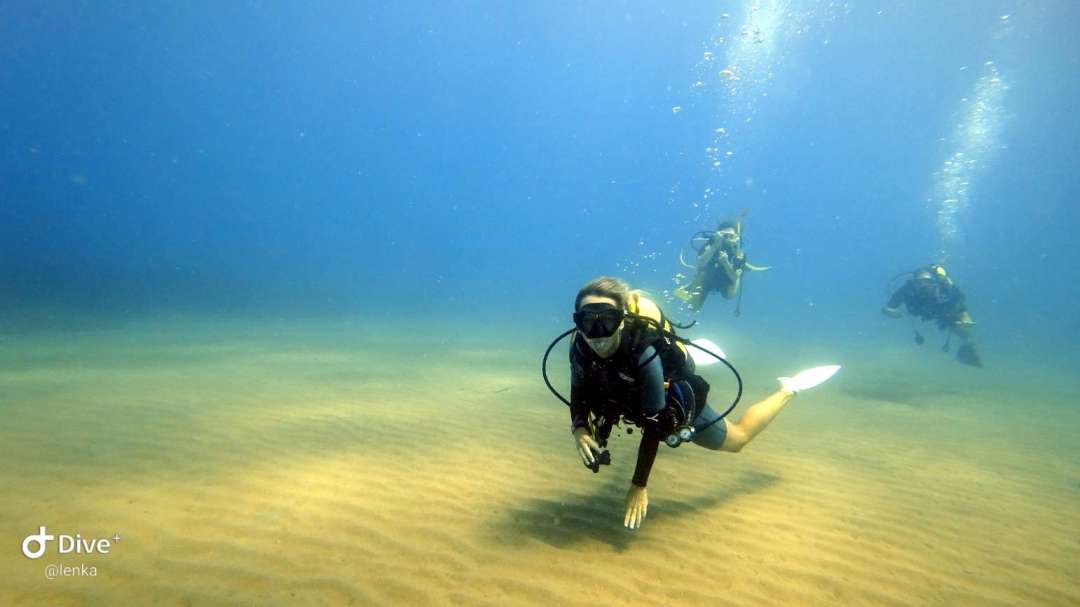 Dive+领路人的帖子