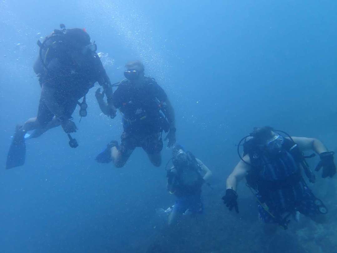 Dive+领路人的帖子