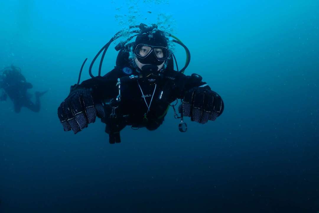 Dive+领路人的帖子