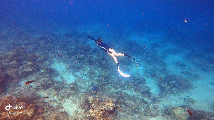 Dive+领路人的帖子