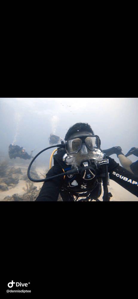 Dive+领路人的帖子