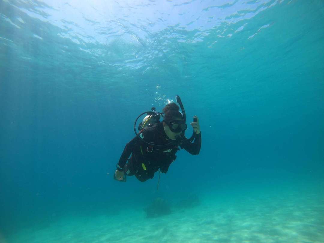 Dive+领路人的帖子