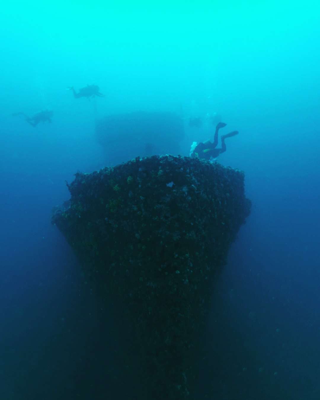 Dive+领路人的帖子