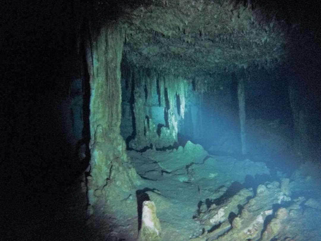 Dive+领路人的帖子