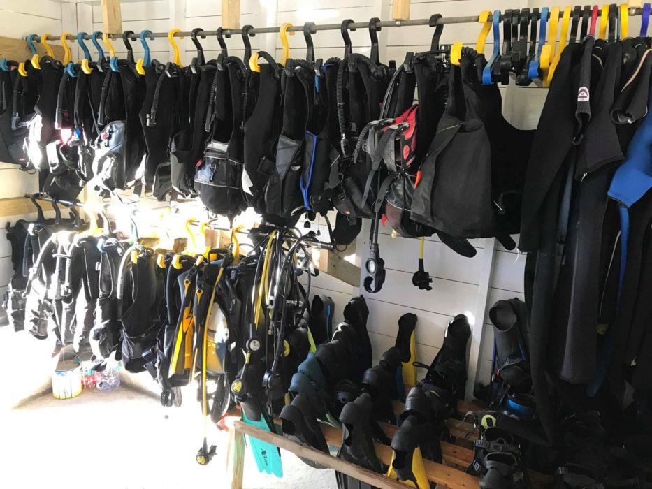 Dive+ Dive Center Selection
