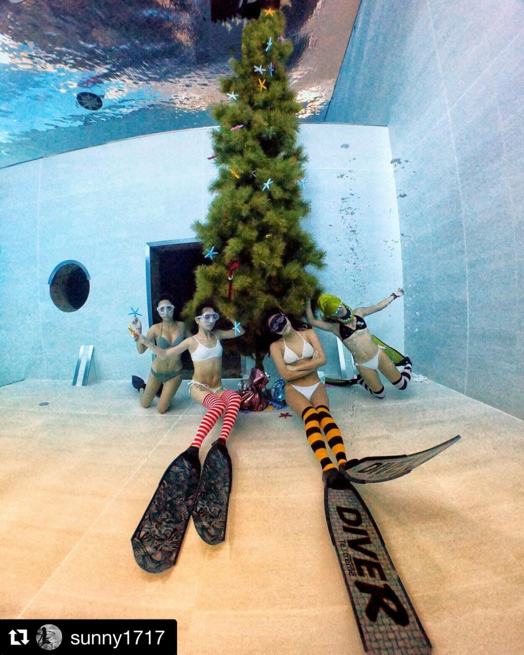 Dive+ Dive Center Selection