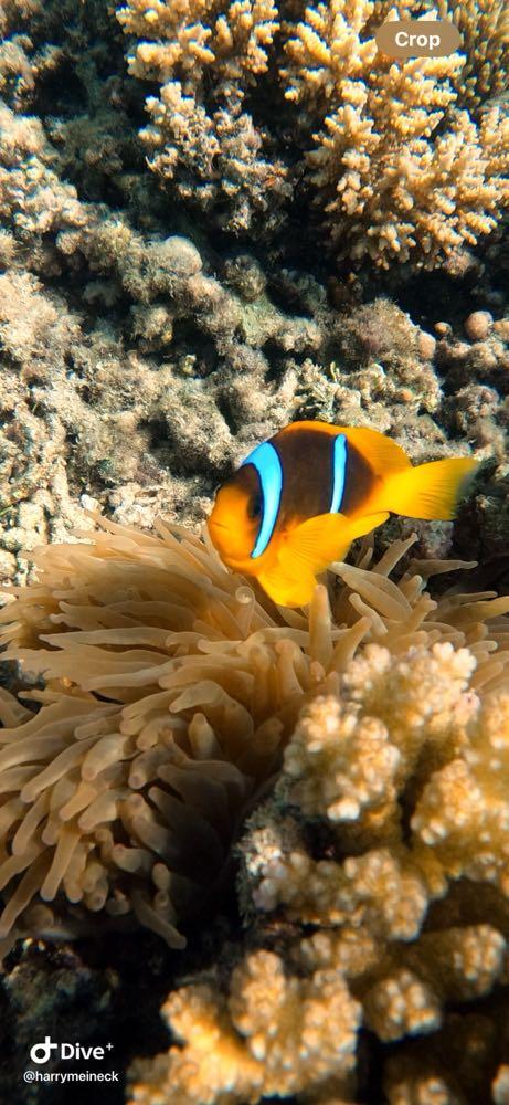 Dive+社區(qū)熱門(mén)帖子