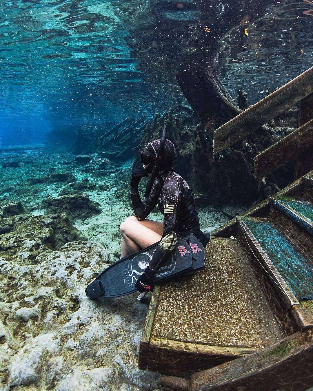Dive+领路人的帖子