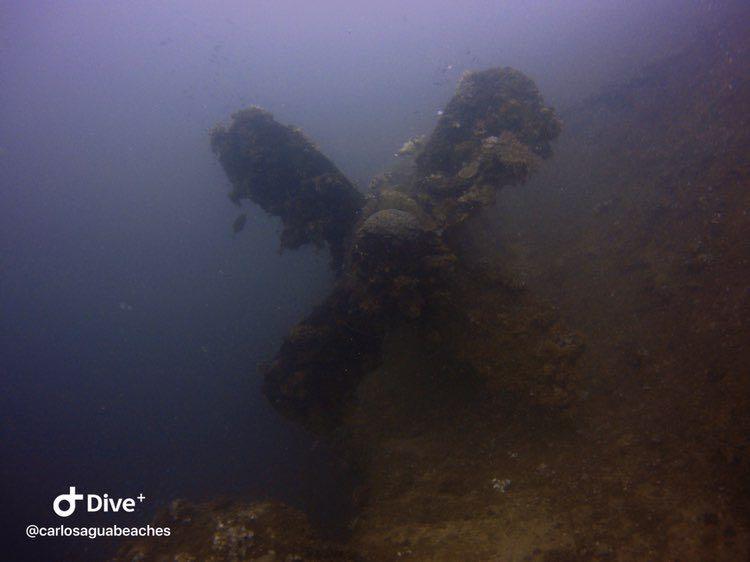 Dive+领路人的帖子