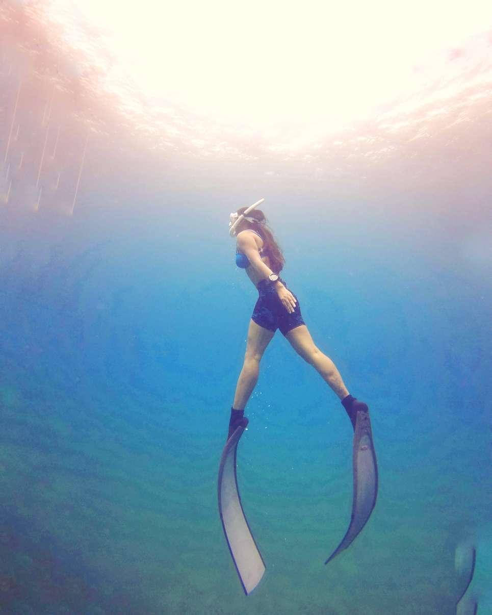 Dive+领路人的帖子