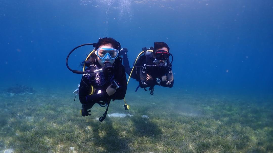 Dive+ Guide Selection