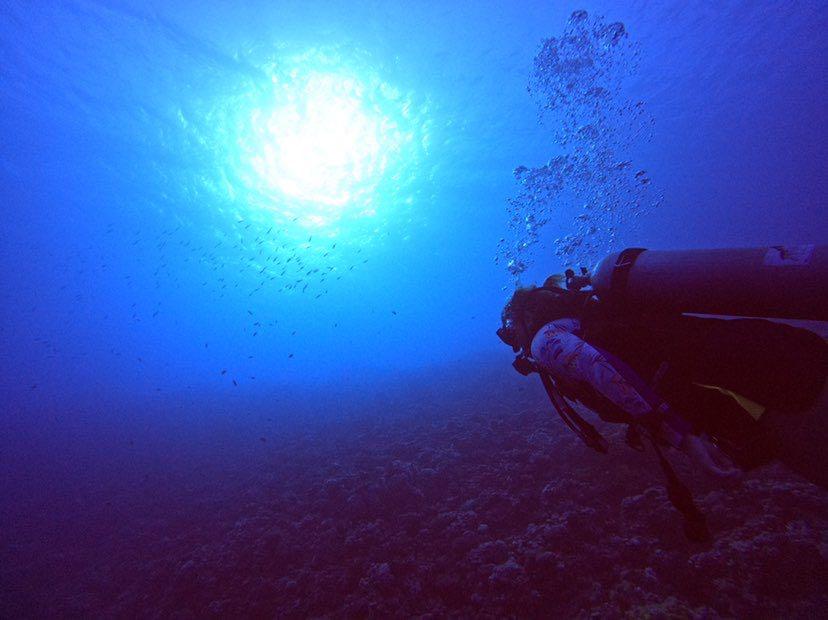 Dive+领路人的帖子