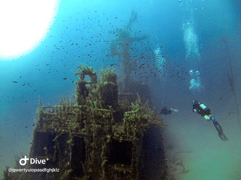 Dive+领路人的帖子