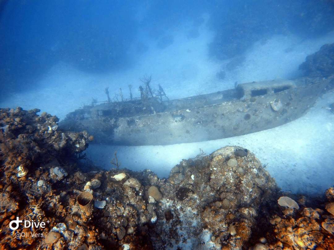 Dive+领路人的帖子