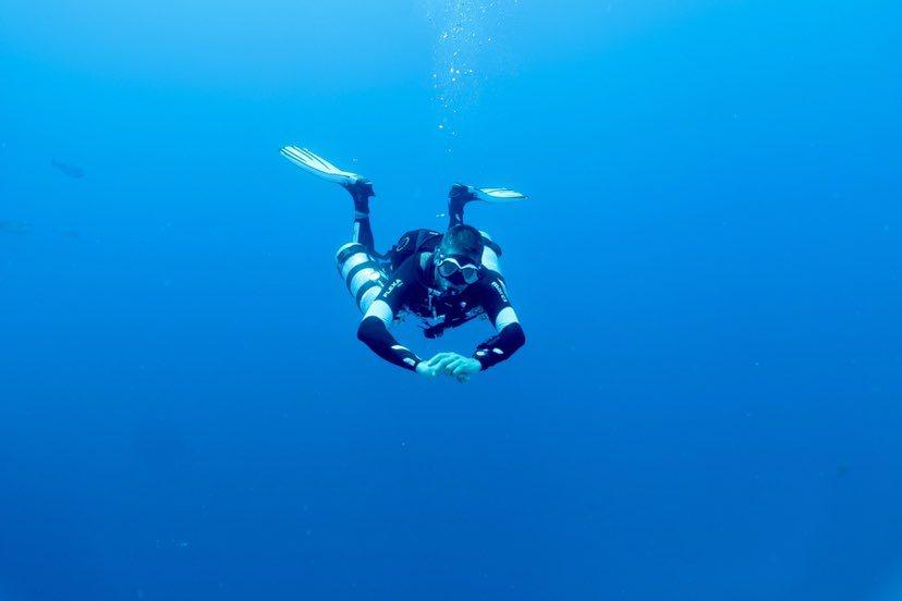 Dive+领路人的帖子