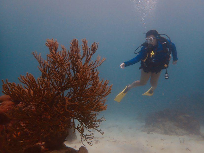 Dive+领路人的帖子