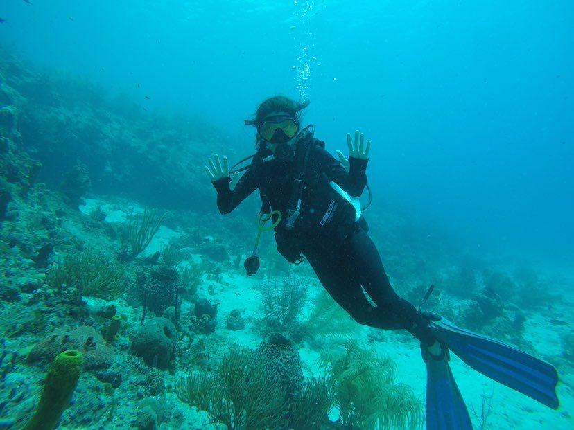 Dive+领路人的帖子