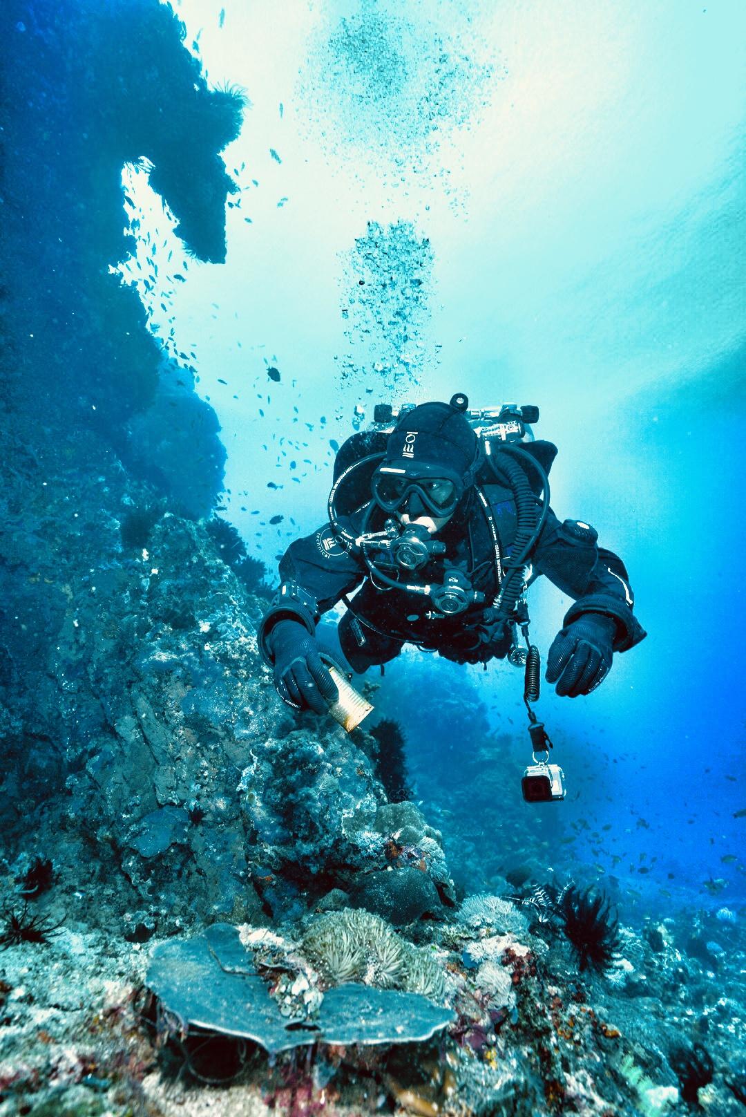 Dive+ Guide Selection