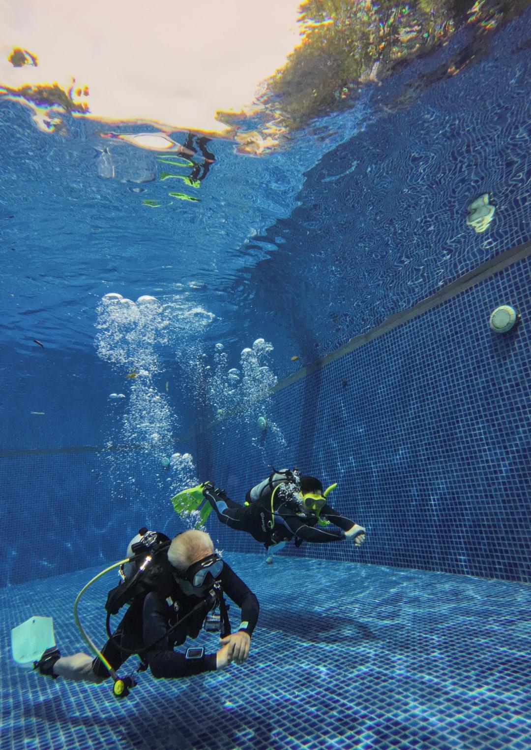 Dive+ Guide Selection