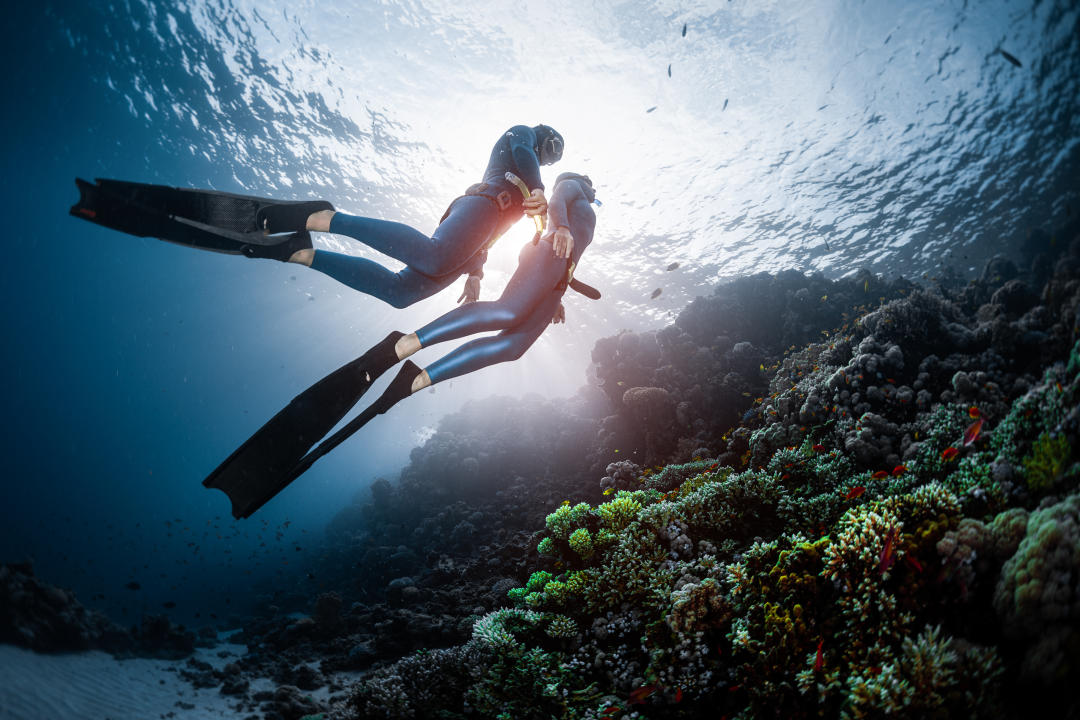 Dive+ Dive Center Selection
