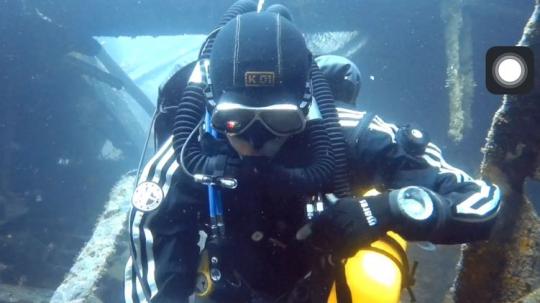 Dive+社區(qū)熱門作者