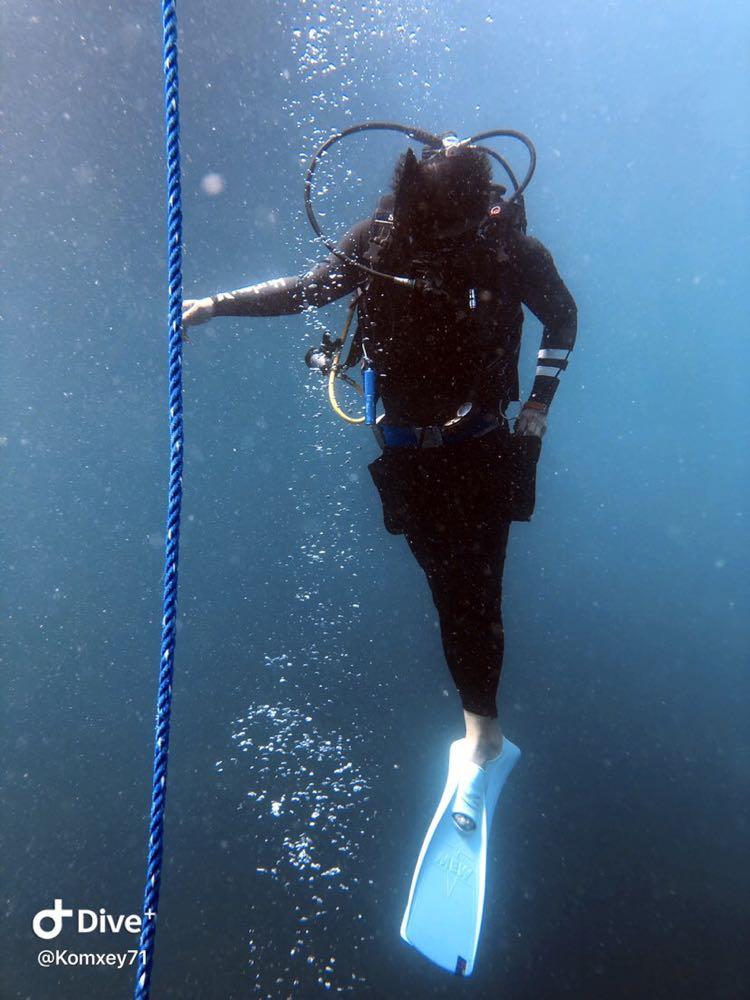 Dive+领路人的帖子