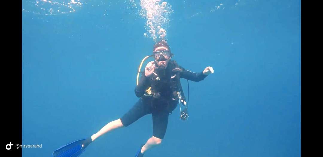 Dive+领路人的帖子