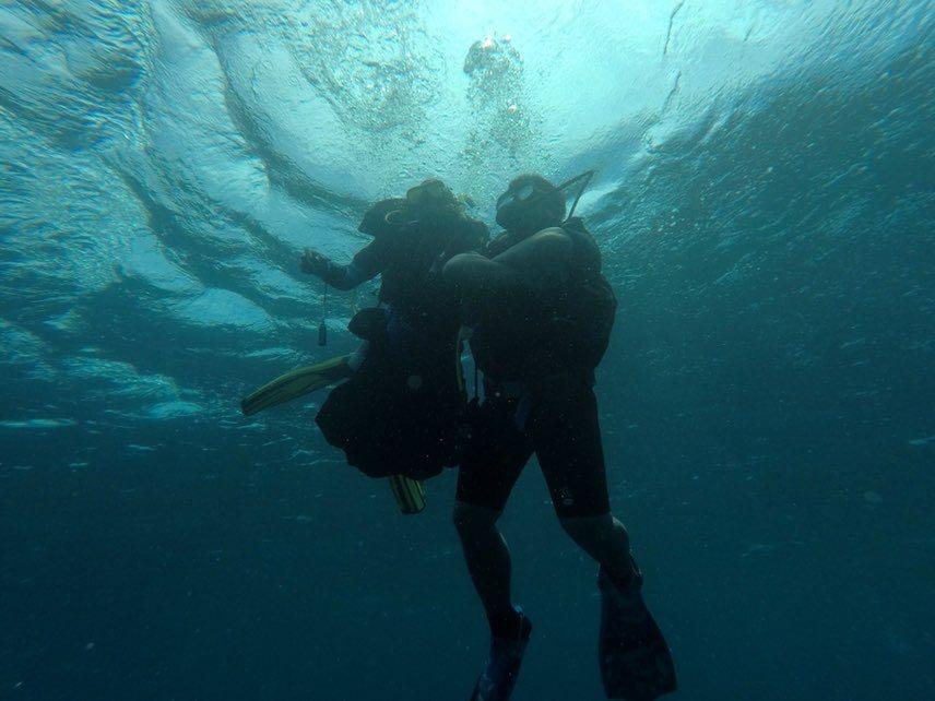 Dive+领路人的帖子