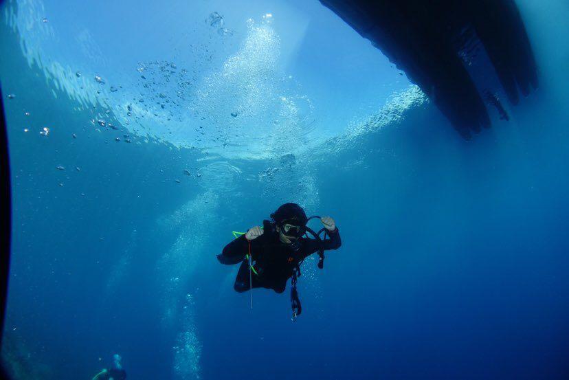 Dive+领路人的帖子