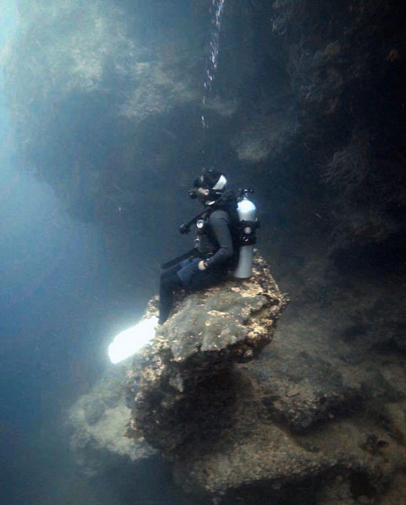 Dive+领路人的帖子