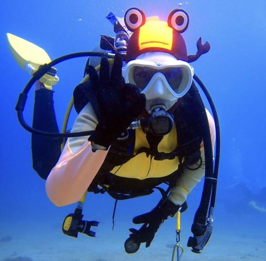 Dive+社區(qū)熱門作者