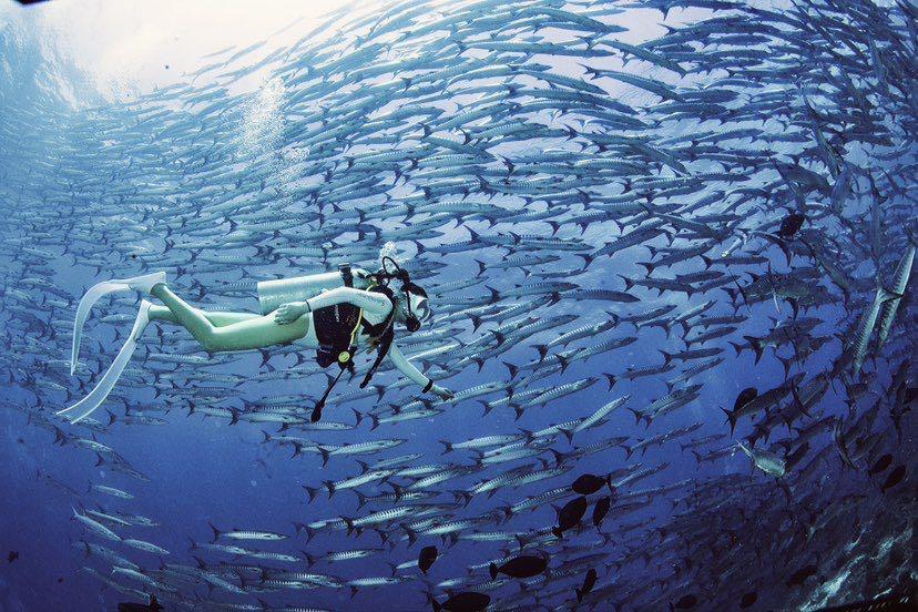 Dive+ Post Selection