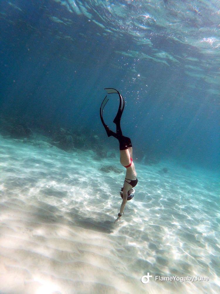 Dive+领路人的帖子