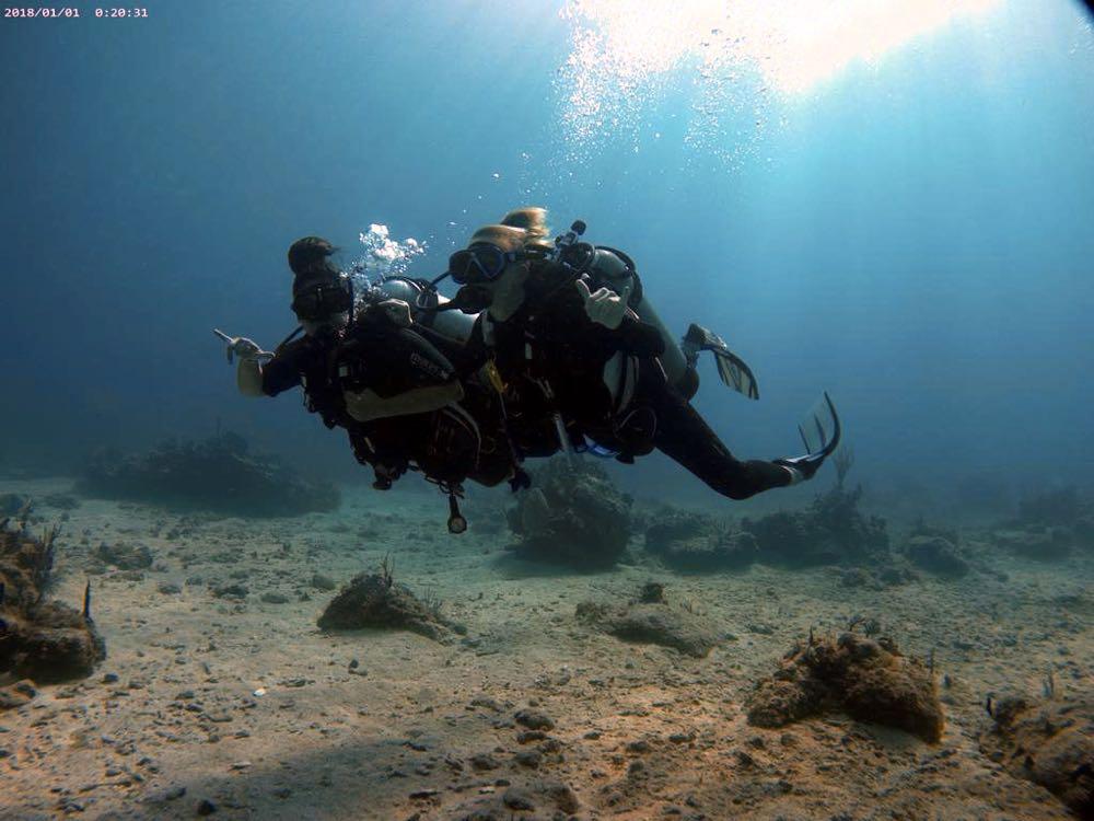 Dive+领路人的帖子