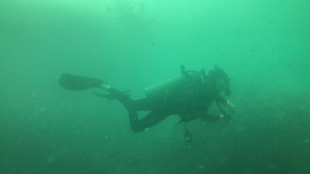 Dive+ Log Selection